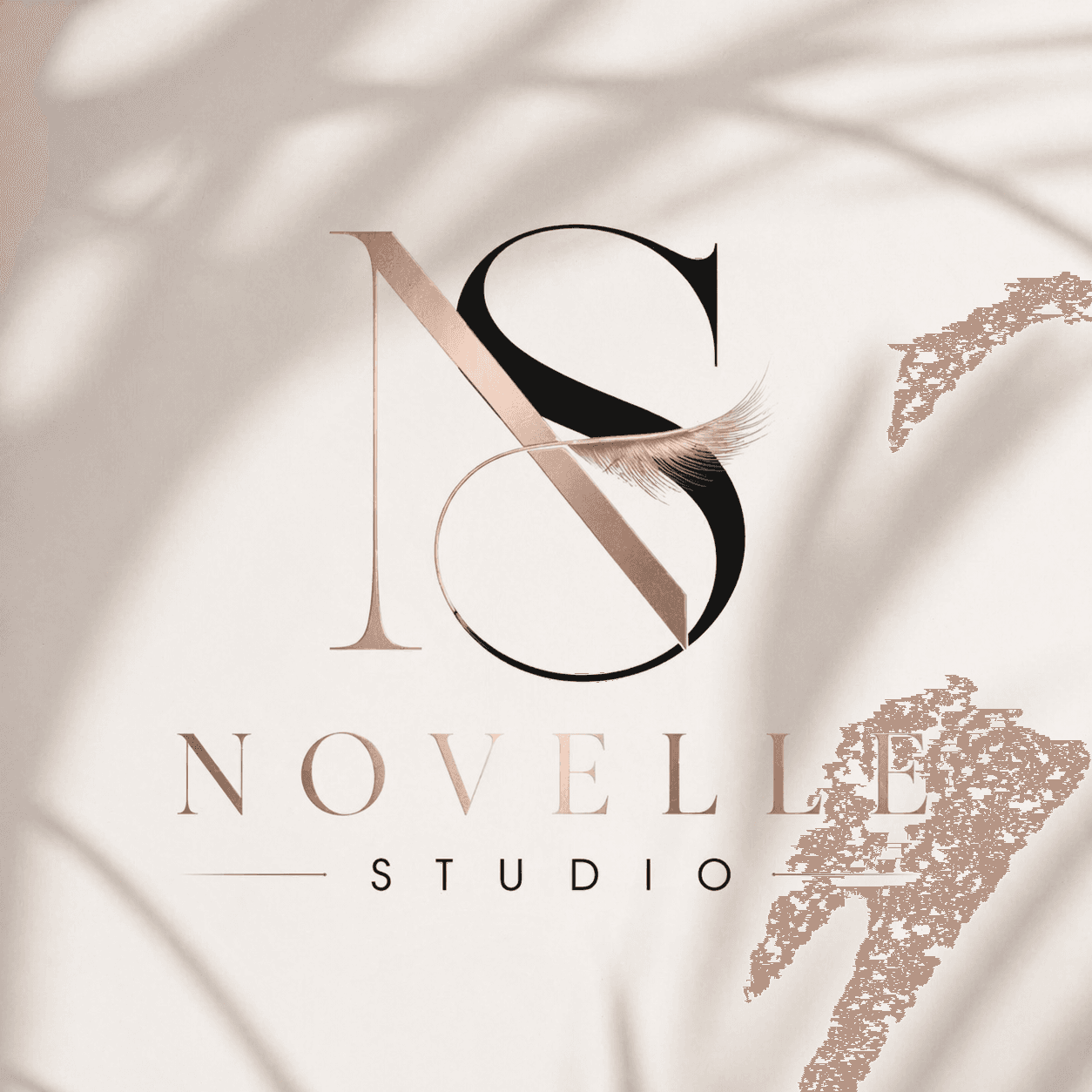 Novelle Studio